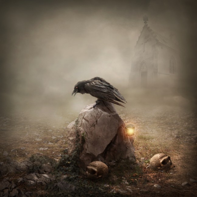 Crow sitting on a gravestone